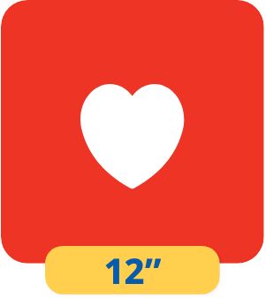 12 inch icon